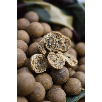 CCmoore Odyssey XXX Shelf Life 15mm