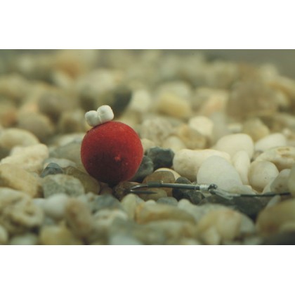 Набор стопоров Enterprise Tackle Sweetcorn Hairstops Mini Mixed Pack