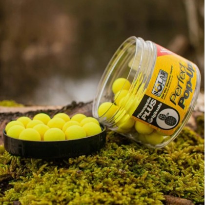 Поп-ап Solar Pineapple Perfect Pop Ups 14мм